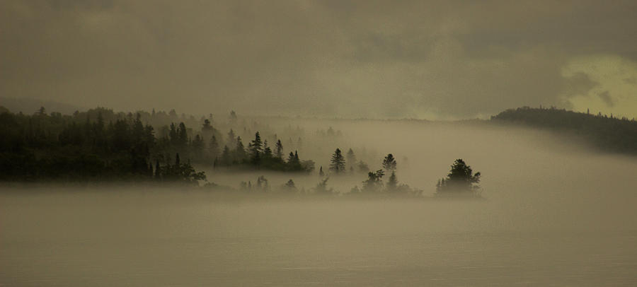 still fog